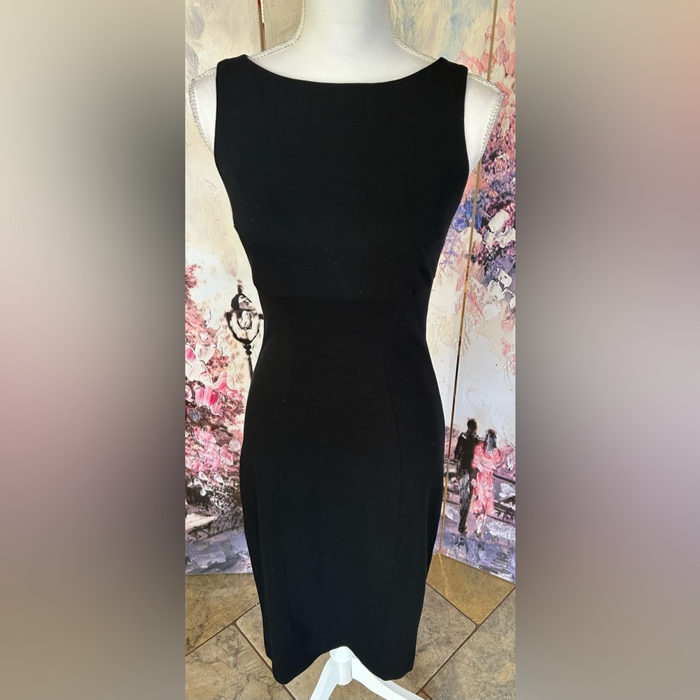 Cache Luxe - Elegant Black Sheath Dress. Size 2